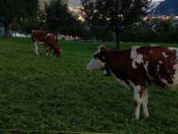 瑞士淳樸鄉村小鎮阿彭策爾(Appenzell)