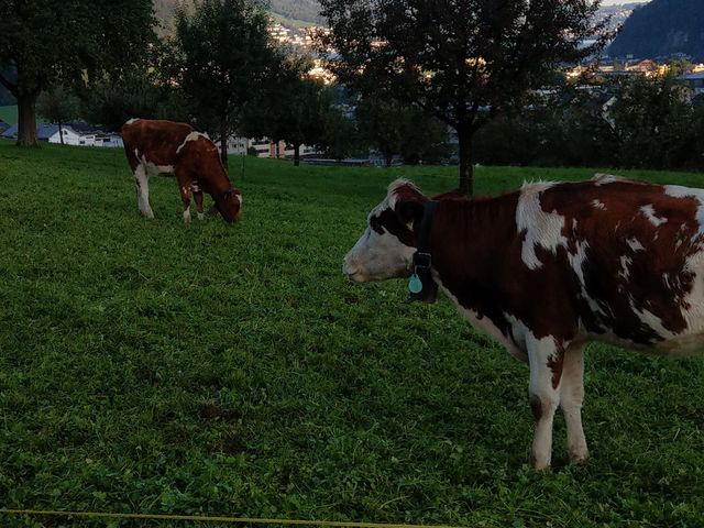 瑞士淳樸鄉村小鎮阿彭策爾(Appenzell)