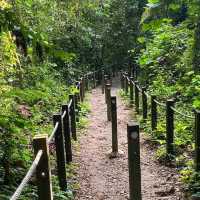 Thomson Nature Park