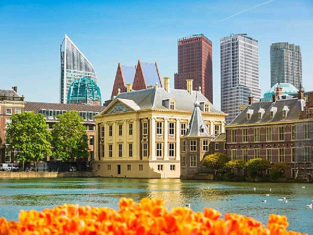 Explore Mauritshuis