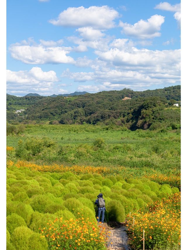 연천 가시면 여기도 가보세요 <댑싸리 공원>