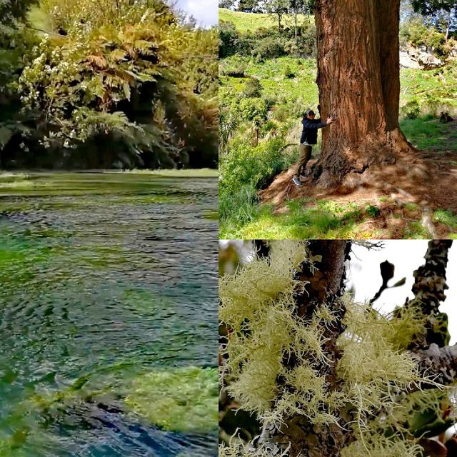 Nature Lover's Paradise 🍀
