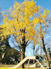 みやこめっせ近くの児童公園