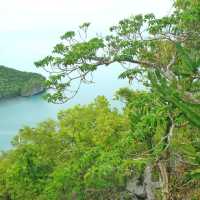 เกาะวัวตาหลับ@หมู่เกาะอ่างทอง