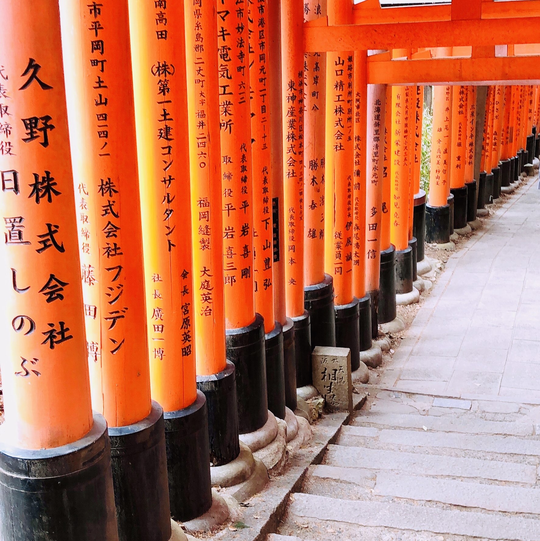 千本鳥居 Trip Com Kyoto Travelogues