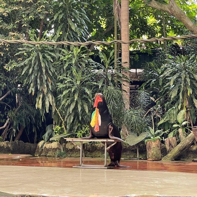 Wild wild weekend at Singapore Zoo 