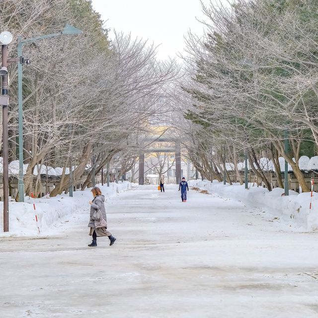 冬の北海道神宮・お手水舎