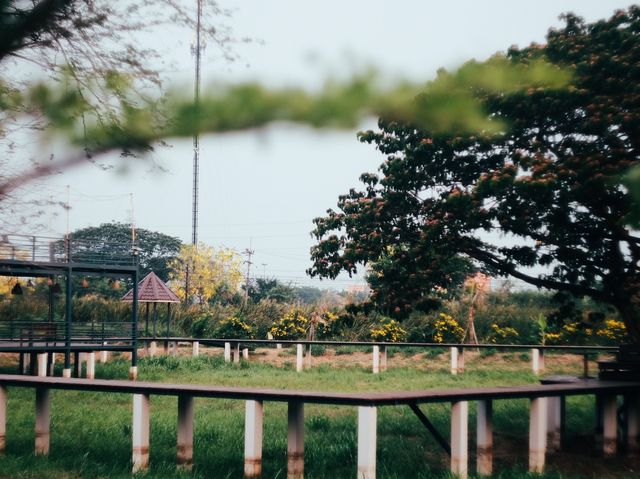 ไปสูดอากาศที่อยุธยากัน