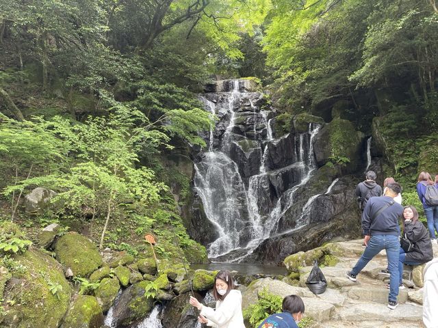 マイナスイオンたっぷり『白糸の滝』