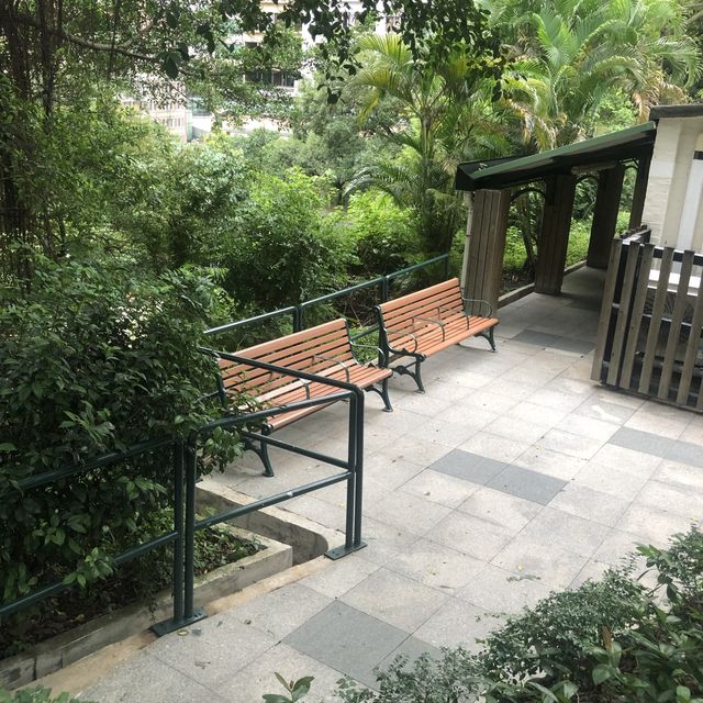 九龍市中心嘅行山徑
