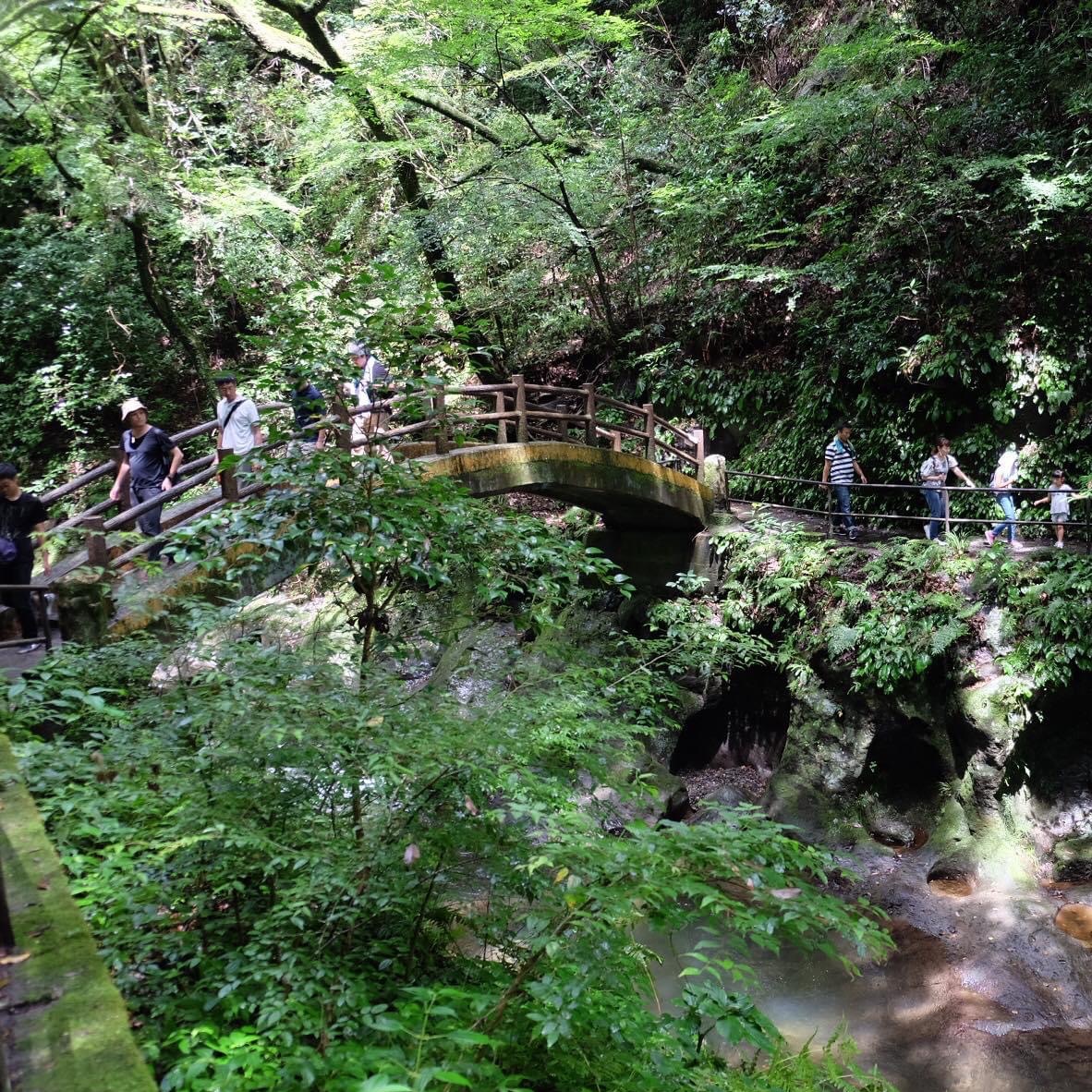 Miyazaki's Mythical Land