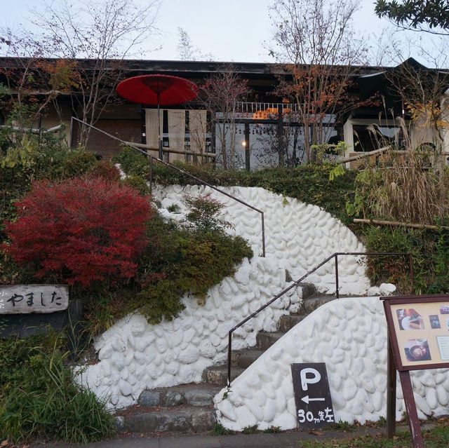 埼玉縣必去景點➡️ 寶登山⛰️⛰️