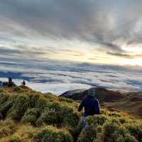 Hike at Mount Pulag National Park