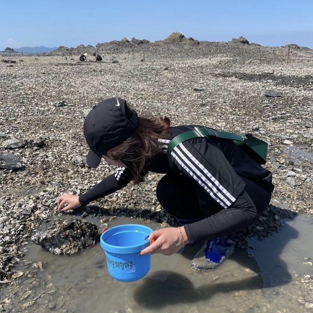 선재사메기 🦪갯벌체험🐚 바지락 캐기! 도오전~