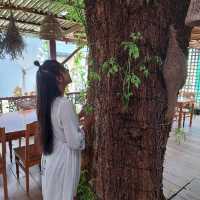 ร้านอาหารกระเพาะปลาริมเมย