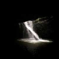 It's a Land Of Waterfall In Springbrook