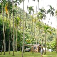 yang na camp