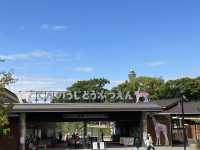500円で見れる満足度高めの動物園🦁
