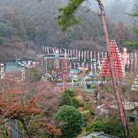 お祭り⁉️山の中に観光地⁉️名物🍴山賊焼🍗‼️