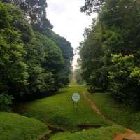 The Belukar trial at bukit timah