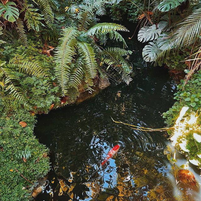 Rainforest Cafe กาญจนบุรี