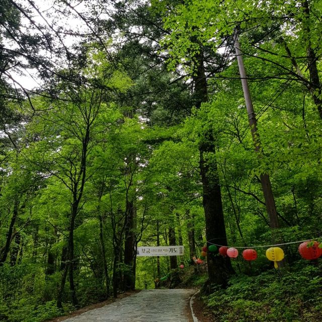 오대산 비로봉 등산