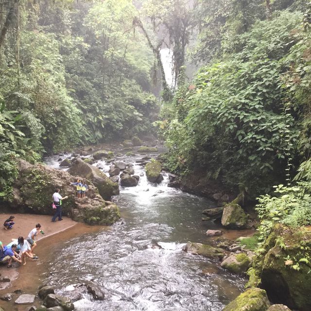 Hiking to see waterfall 