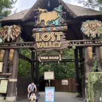Amazing Trip to “Everland”, theme park