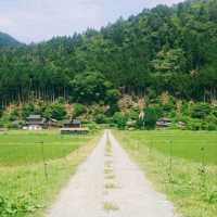 日本三大傳統茅葺屋部落之一 京都美山町！