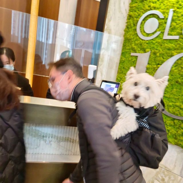 逛街累了，到秘密基地，鬆鬆腿，再去逛！