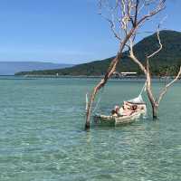 Spectacular beach littered with starfish….