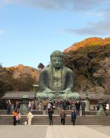日本🇯🇵高徳院佛教參拜之地