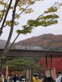 가을 단풍 맛집 :: 화담숲🍂🤍
