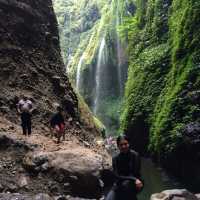 Winsome Waterfall Madakaripura