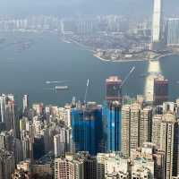 行山：香港大學—龍虎山—西高山—山頂