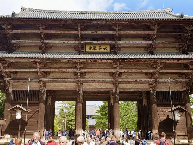好想去日本！世界文化遺產：奈良東大寺～還有好多可愛的🦌