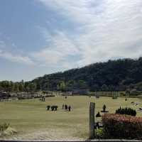 超大型公園草地同設施