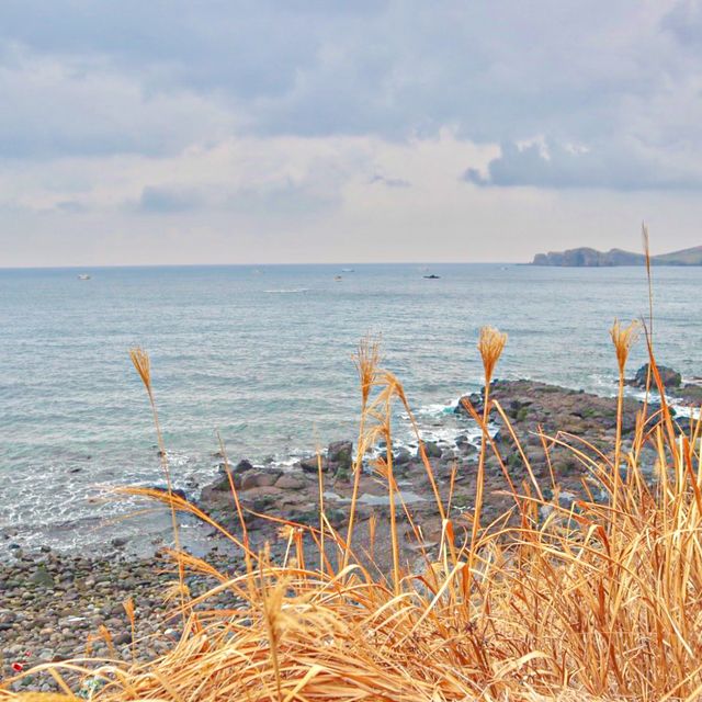 제주 서쪽 명소 수월봉