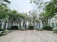 Greenery galore