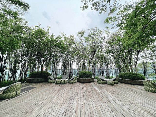 Greenery galore