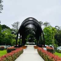 Westin Tashee Resort,Taoyuan 