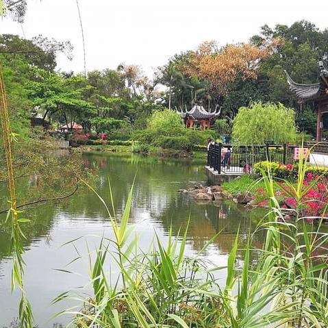 北區公園都可以影得好靚