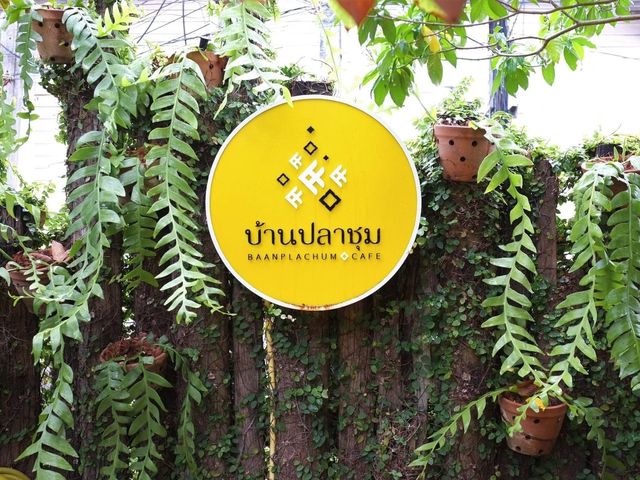 Plachum Café & Bistro 8ริ้ว