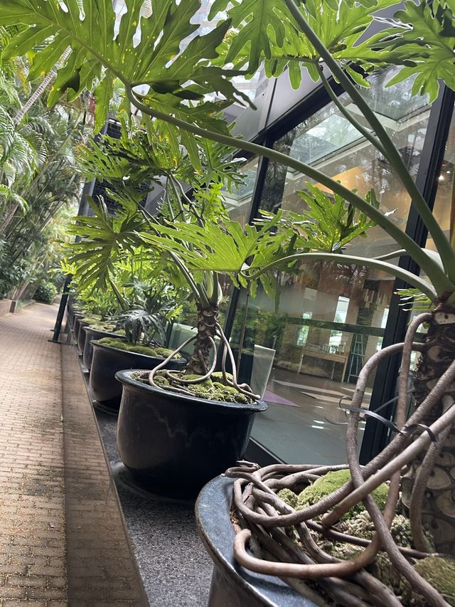 靚景酒店🫶🏻灣仔🤞🏻