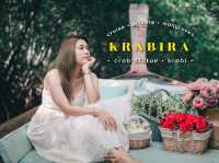 ล่องเรือส่วนตัวชมธรรมชาติของป่าโกงกางและเขาขนาบน้ำ