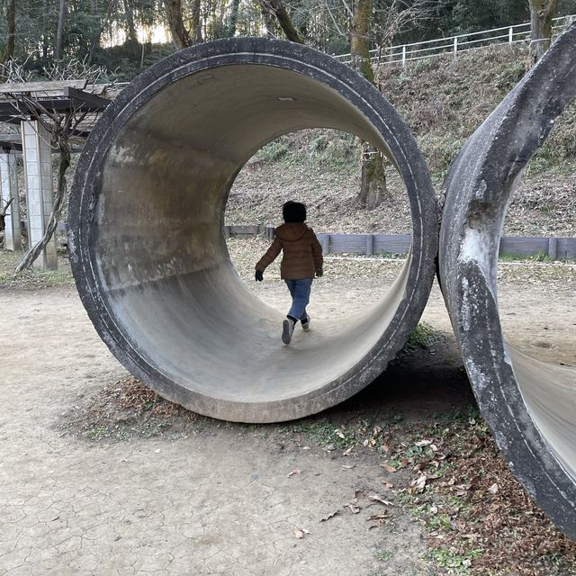 公園のテーマパークこどもの国