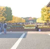 国営昭和記念公園⛲️