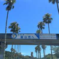 【千葉】館山へドライブ🚘 みなとオアシス「渚の駅」