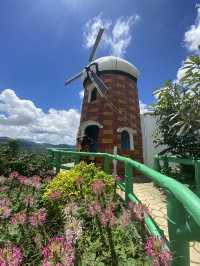 The Little Amsterdam in Sirao, Cebu