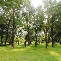 Suan luang park Rama IX 